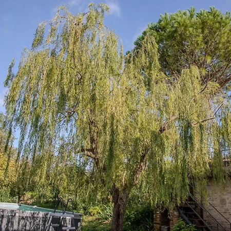 A Casa Di Lea * Mondavio